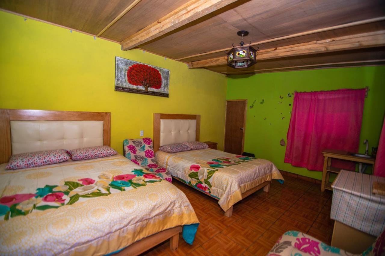 Cabaña tipo habitación con Palapa para 2 y 4 personas Zacatlán Exterior foto